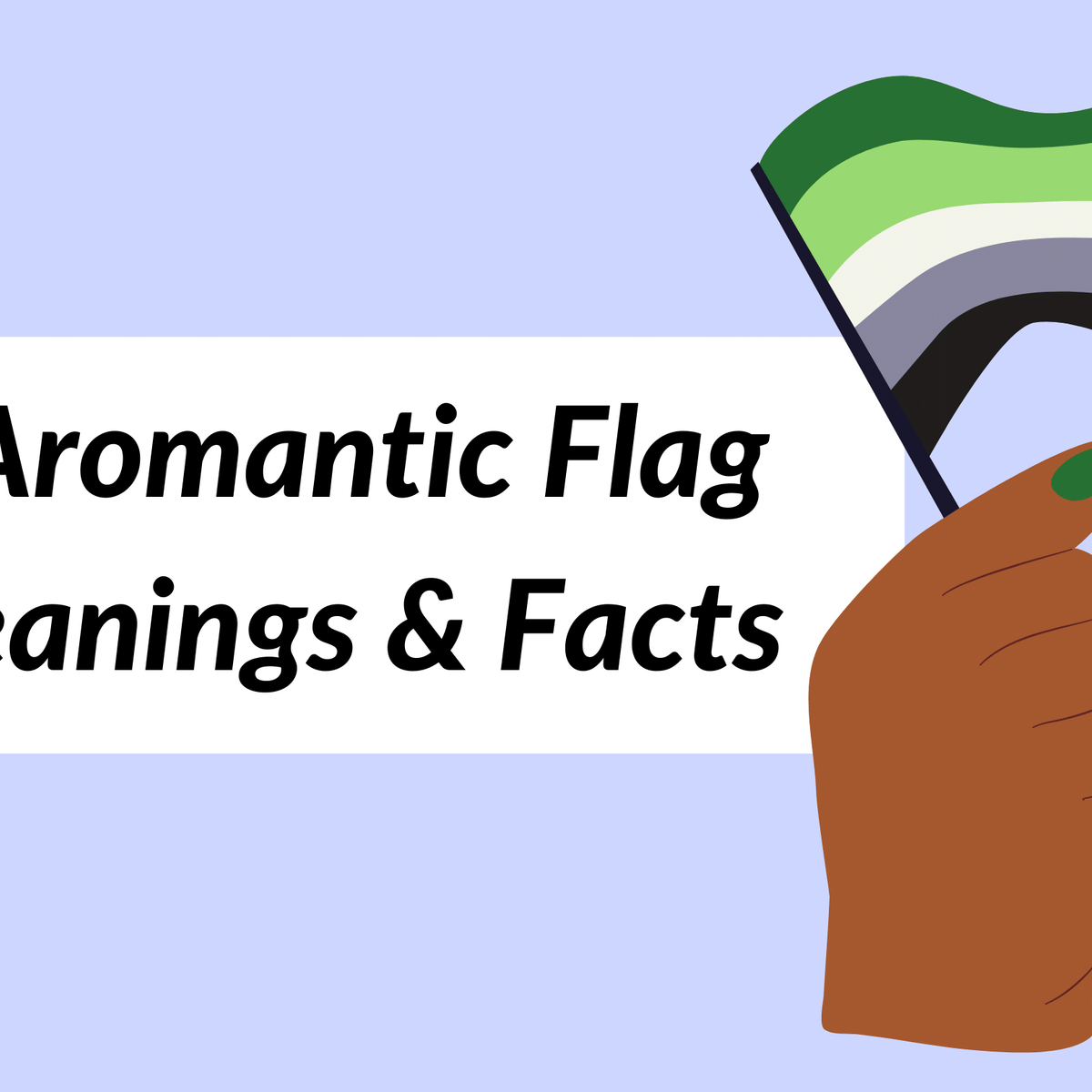 4 Aromantic Flag Meanings and Facts Pride Palace