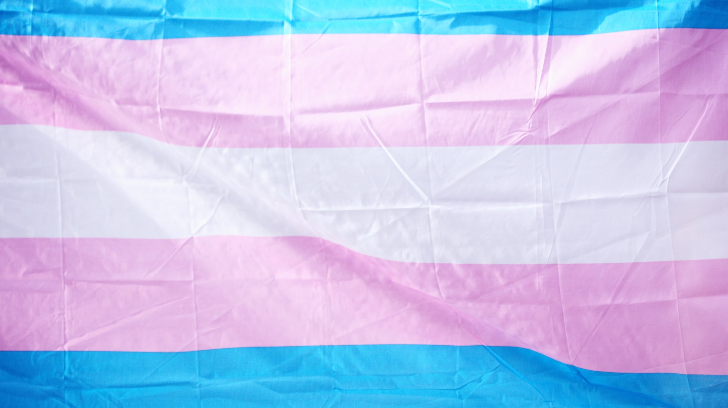 Everything Trans Activists Need to Know About Anti-Trans Bills and How to Help