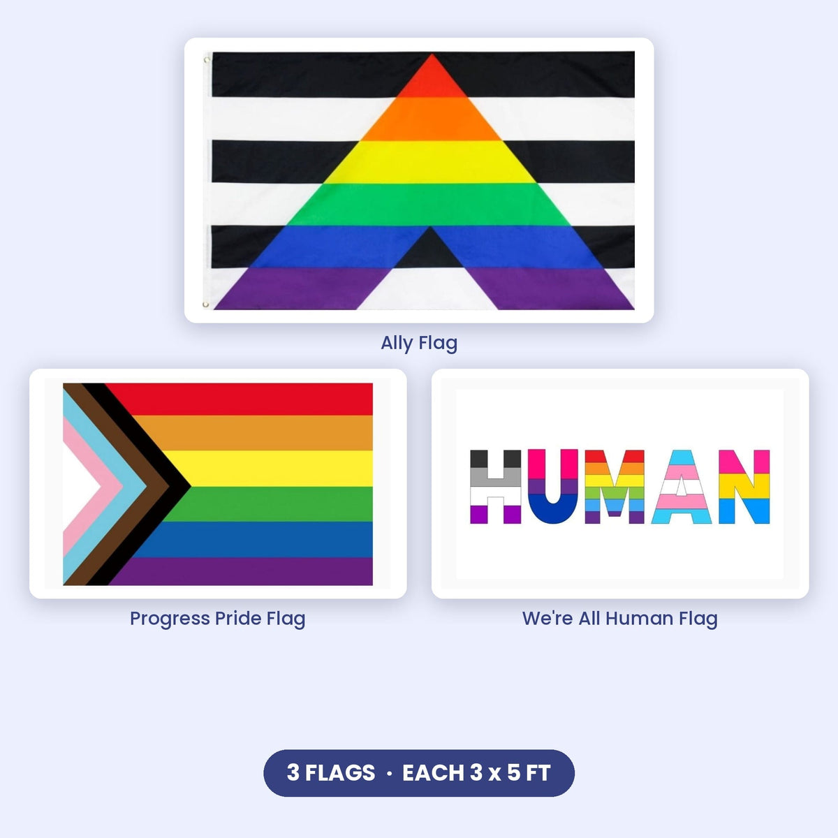 Ally Flag Pack: Ally, Progress Pride and We're All Human flags, 3x5 ft each