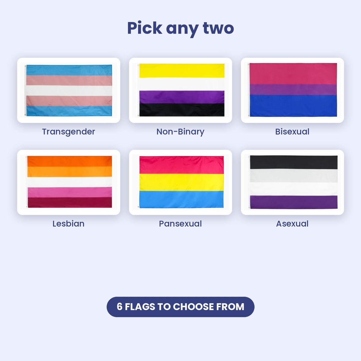 Household Flag Duo choices: Transgender, Non-Binary, Bisexual, Lesbian, Pansexual and Asexual Pride flags