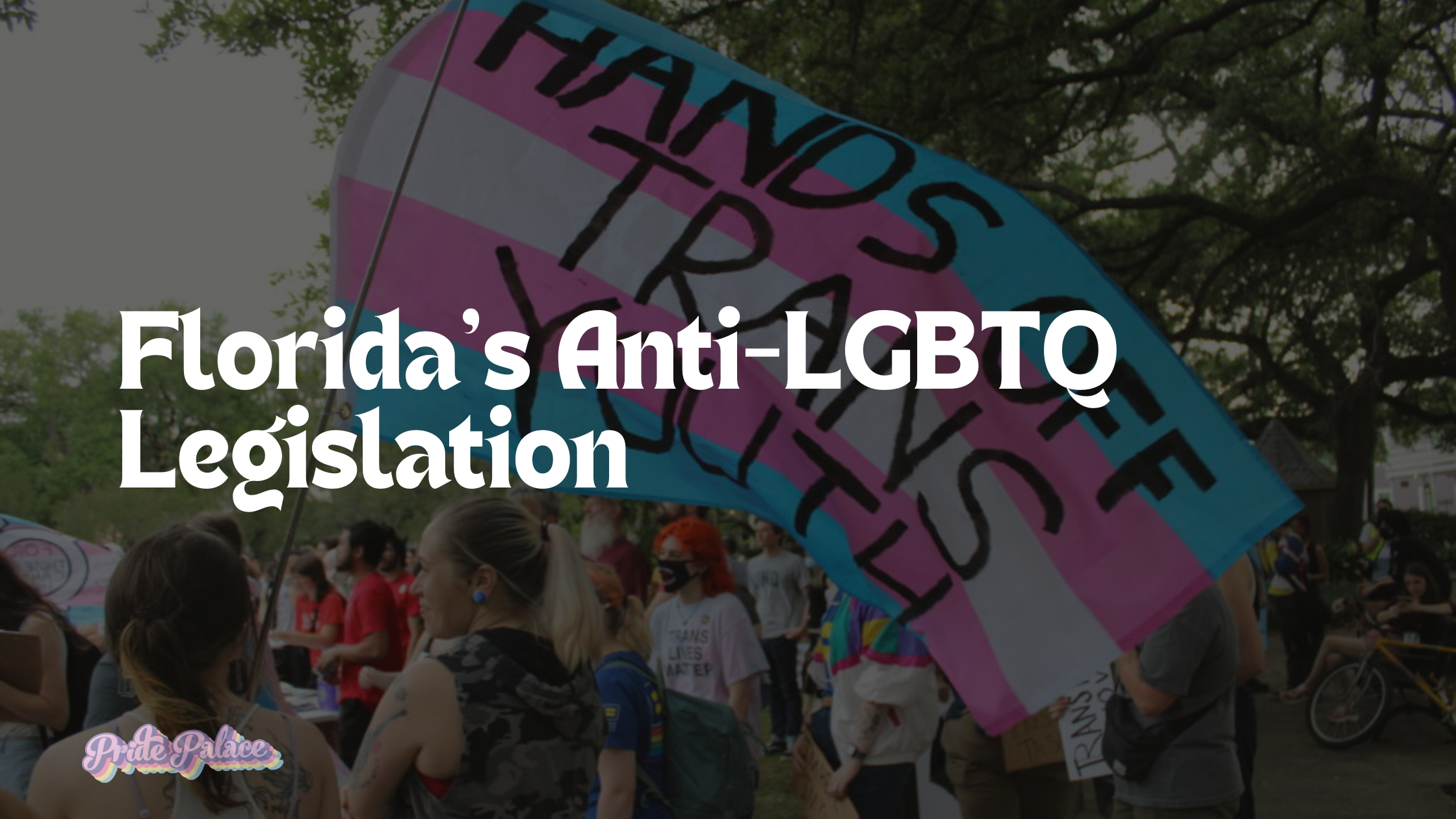 Florida’s Anti-LGBTQ Legislation: What It Means for Transgender Visibility and LGBTQ+ Rights