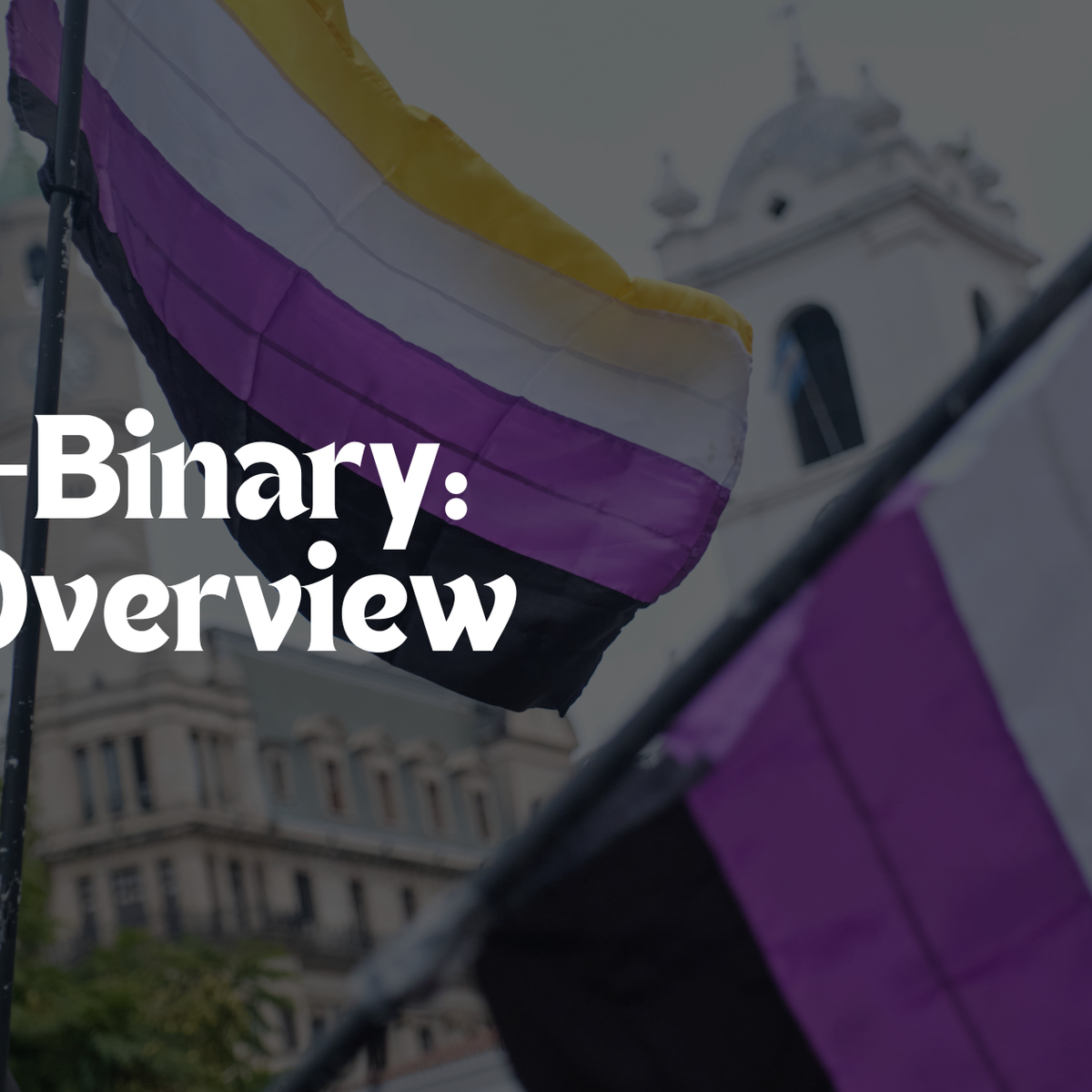 Non-Binary: An Overview – Pride Palace