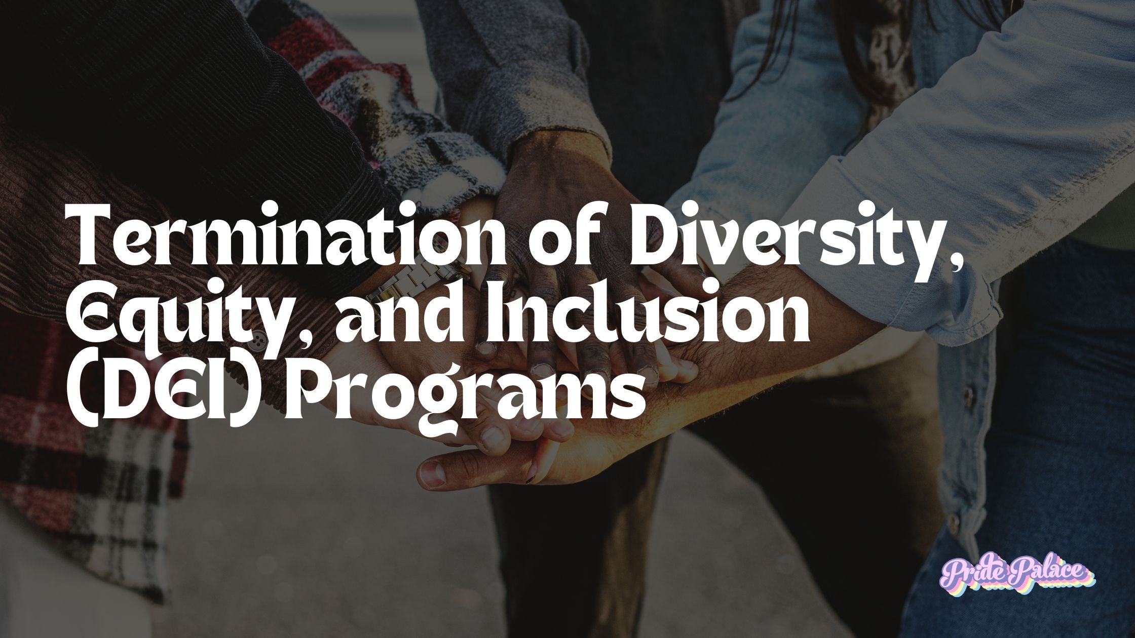 The Termination of DEI Programs: Implications for the LGBTQIA+ Community