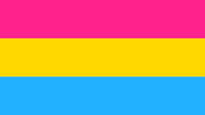 6 Facts About the Pansexual Pride Flag