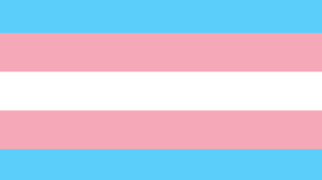 5 Facts About the Transgender Pride Flag