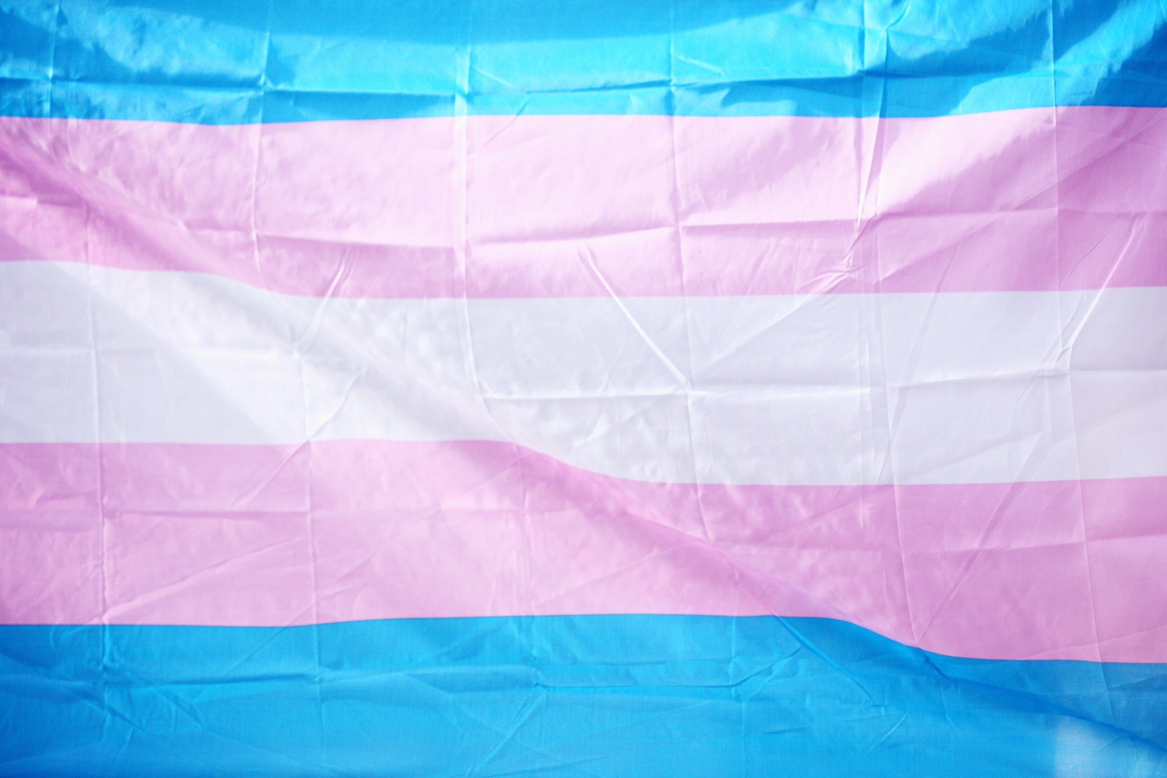 Everything Trans Activists Need to Know About Anti-Trans Bills and How to Help