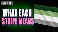 Aromantic Pride flag with dark green, light green, white, gray and black stripes. Text reads WHAT EACH STRIPE MEANS