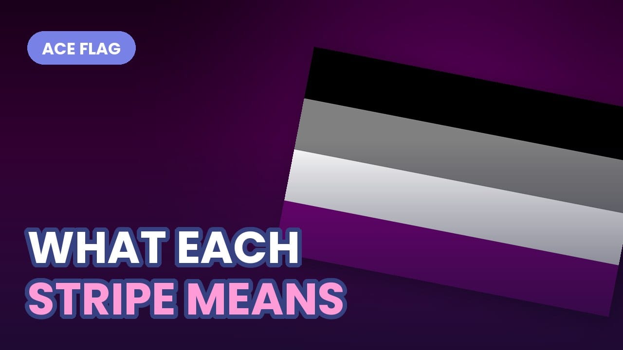 Asexual Pride flag with black, gray, white and purple stripes, bold outlined text reading WHAT EACH STRIPE MEANS