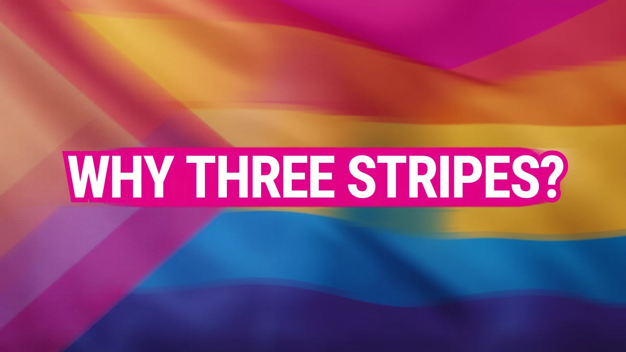 Pansexual pride flag stripes in pink, yellow, and cyan, beside bold text asking why there are three stripes.