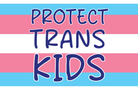 Protect Trans Kids Flag, 3x5 ft