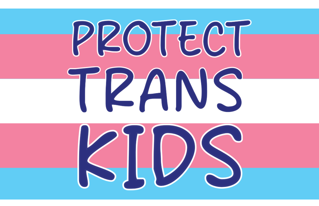 Protect Trans Kids Flag