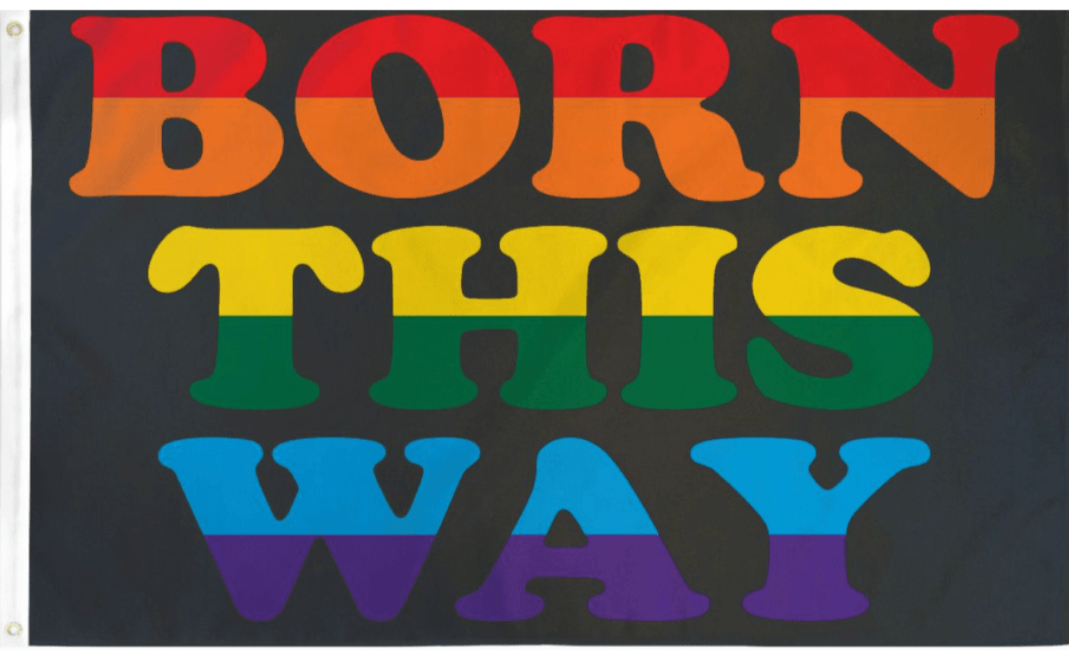 Born This Way Flag