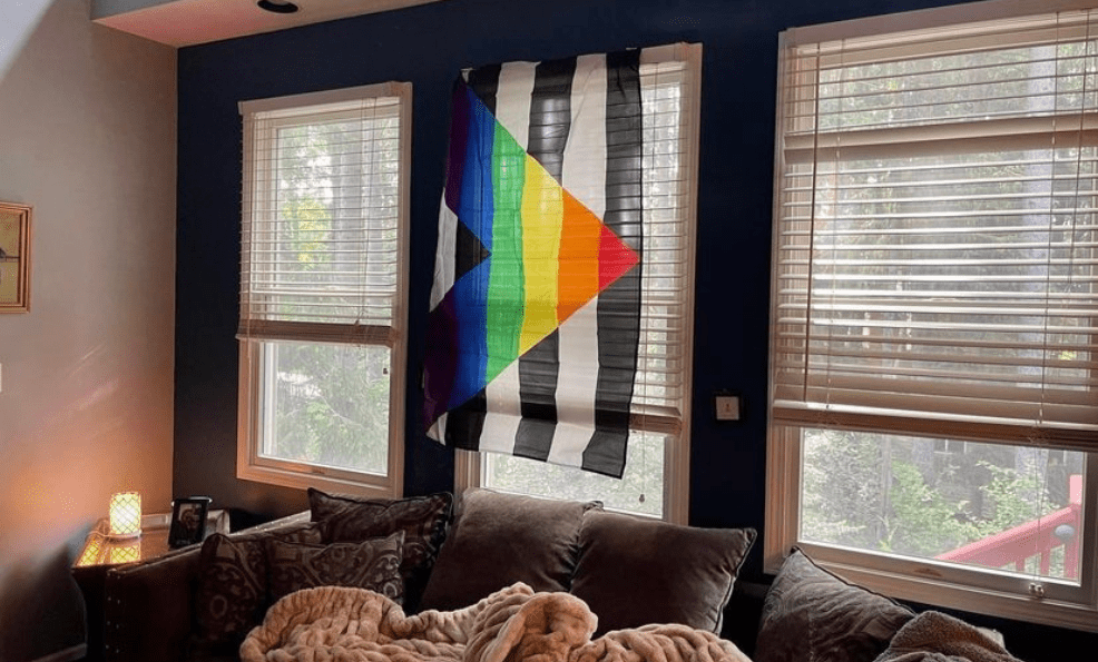 Ally Flag hung in a living room window
