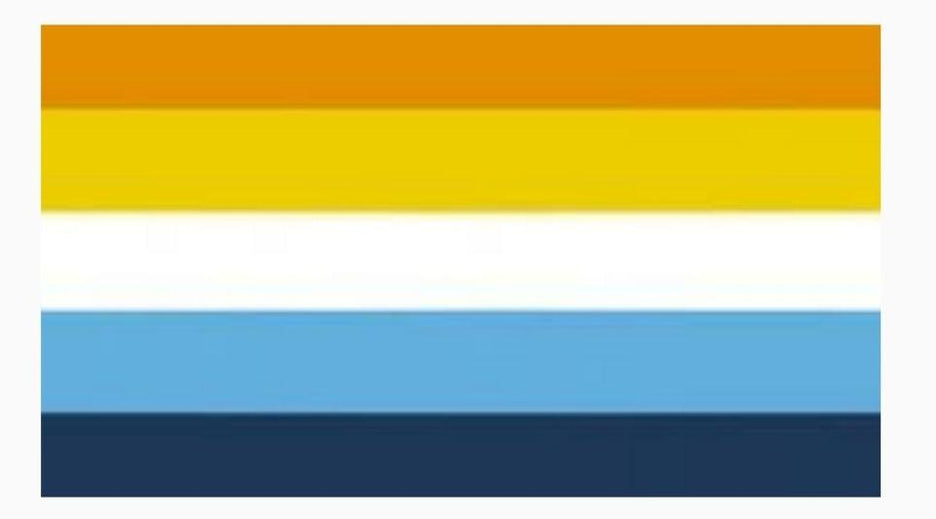 LGBTQ+ Pride Flags & Their Meanings – Pride Palace