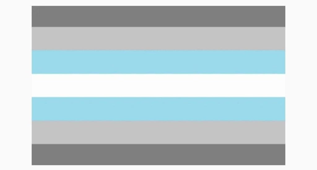 Demiboy Flag