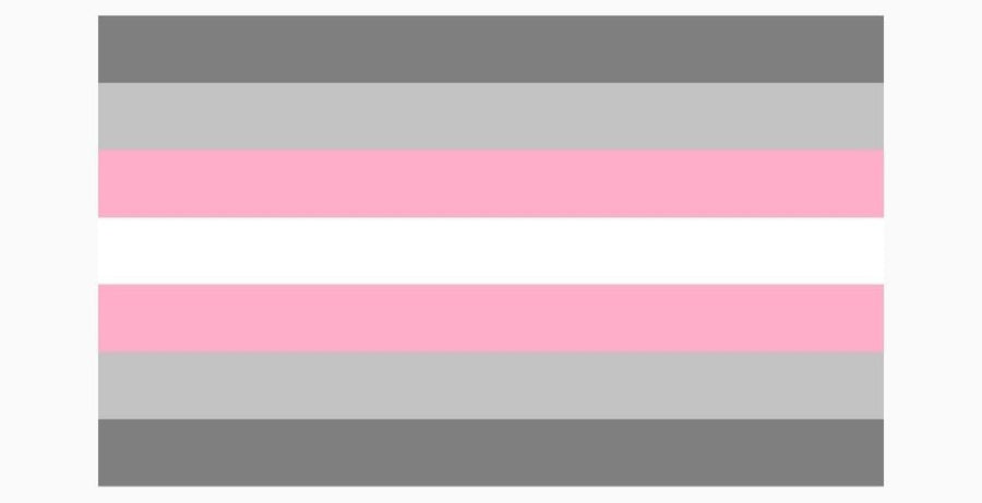 Demigirl Pride Flag