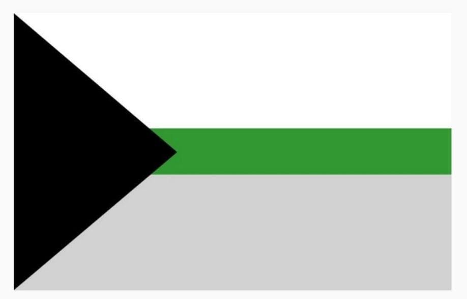 Demiromantic Flag