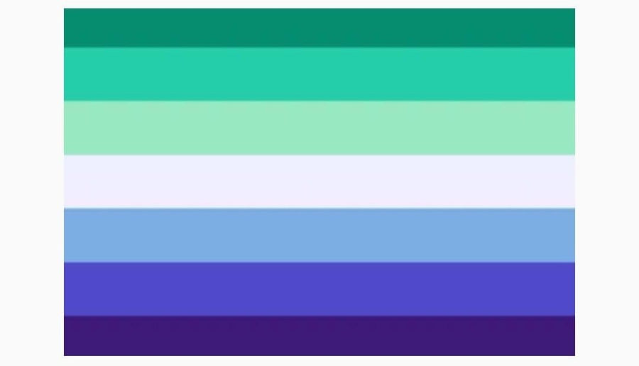 Gay Flag