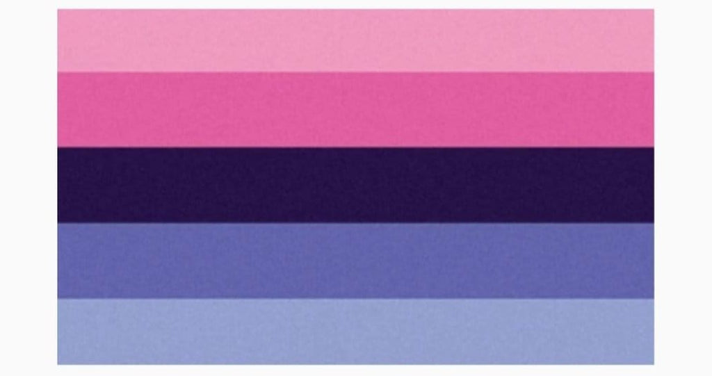 Omnisexual Flag