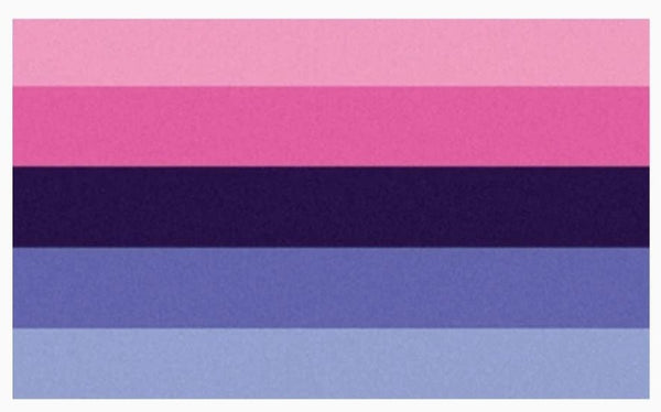 Omnisexual Pride Flag