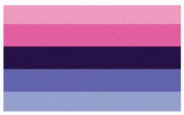 Omnisexual Pride Flag