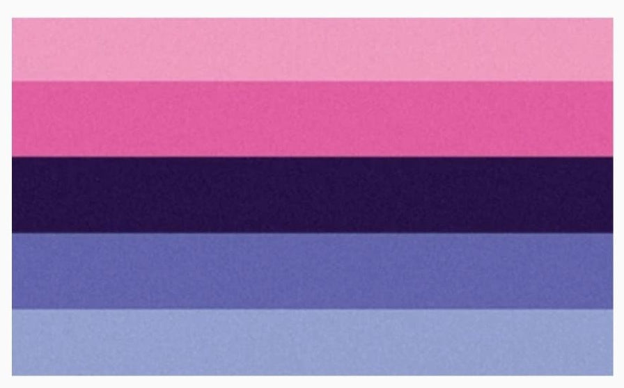 Omnisexual Pride Flag