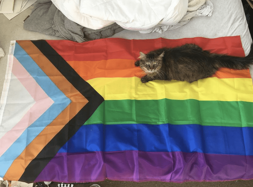 Progress Flag