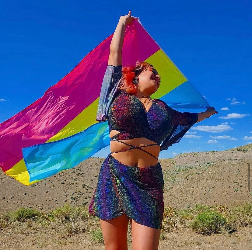 Pansexual Pride Flag – Pride Palace