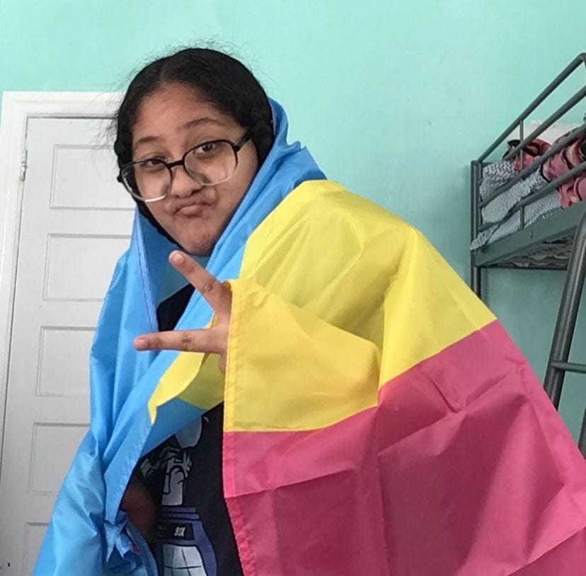 Pansexual Pride Flag
