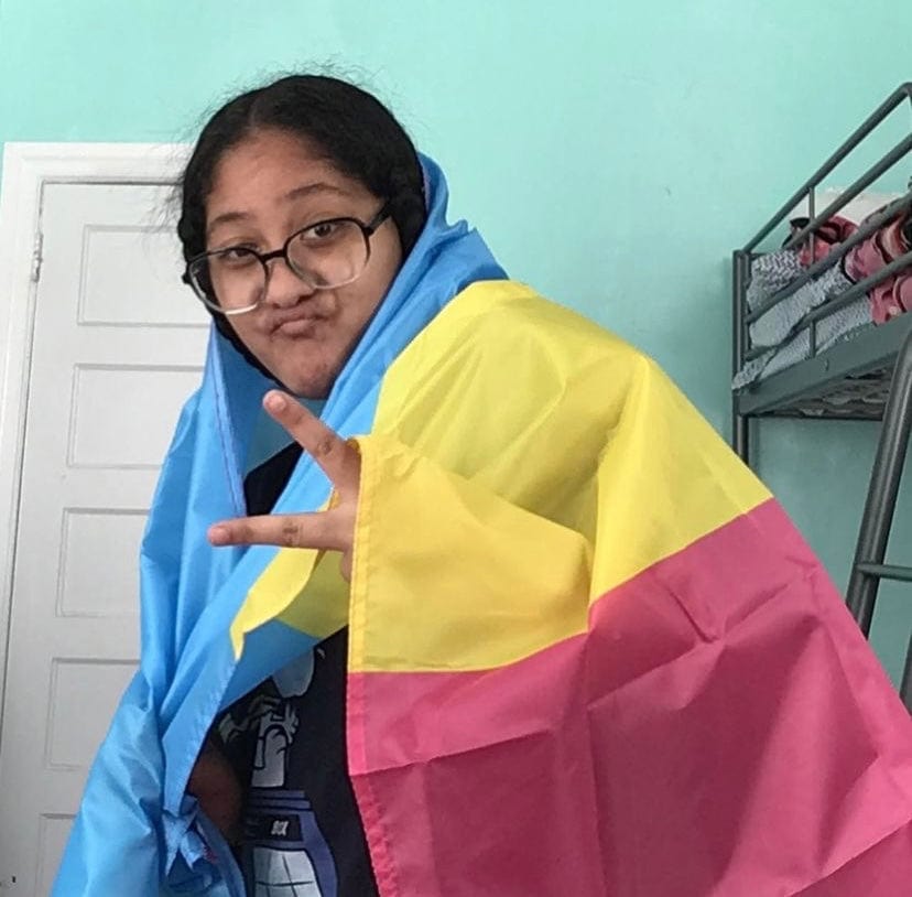 Pansexual Flag