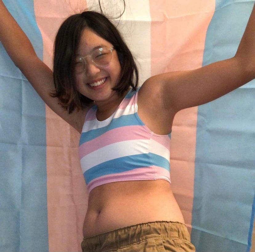 Transgender Flag