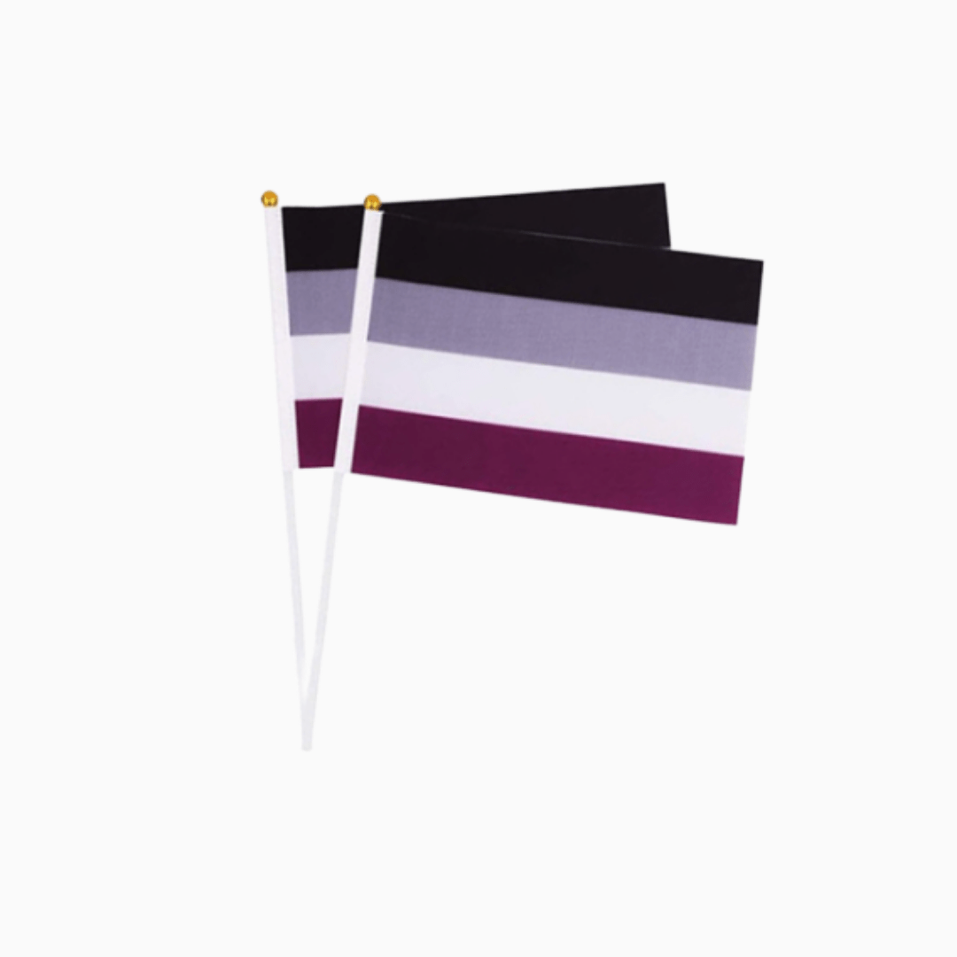 Mini Pride Flags
