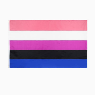 LGBTQ+ Pride Flag - Pride Palace #color_genderfluid