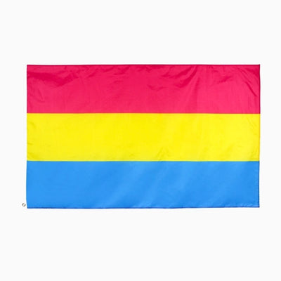 LGBTQ+ Pride Flag - Pride Palace #color_pansexual