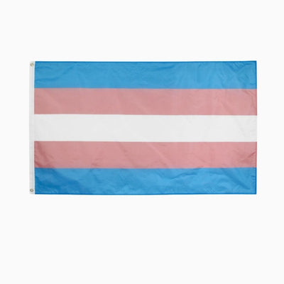 LGBTQ+ Pride Flag - Pride Palace #color_transgender