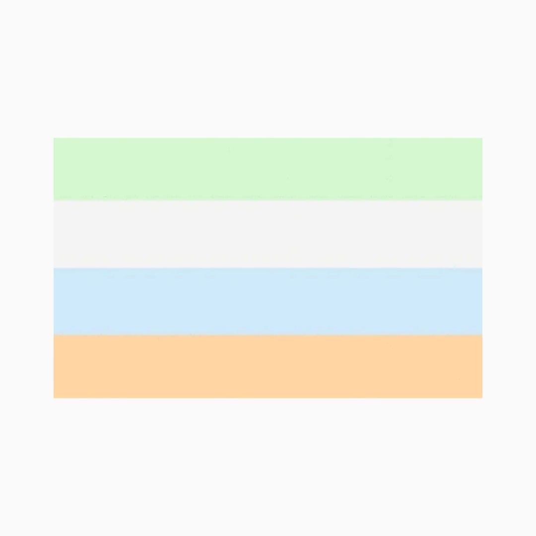 Unlabeled Flag Pride Palace