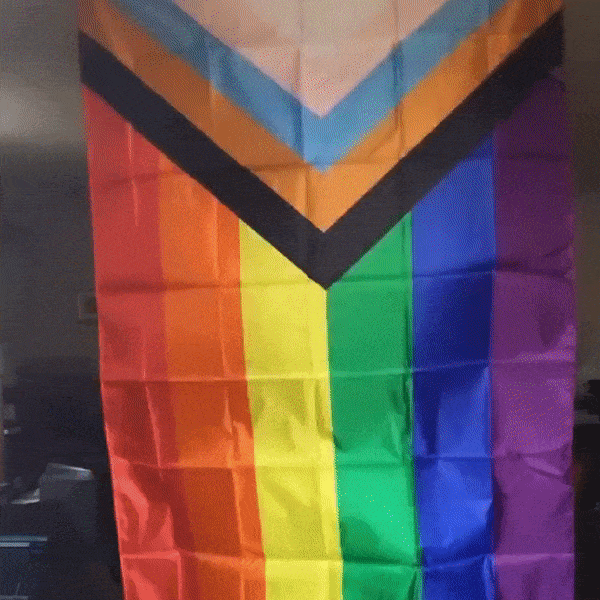 Progress Pride Flag - Pride Palace
