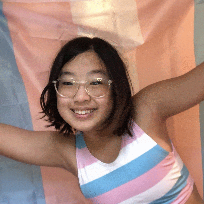 Transgender Pride Flag - Pride Palace