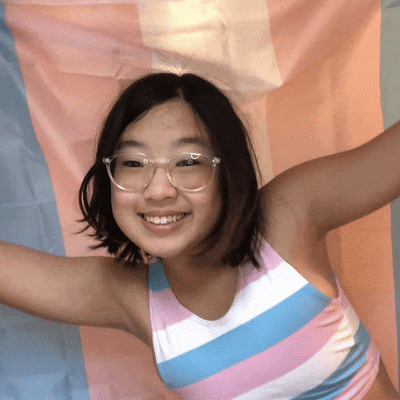 Transgender Pride Flag - Pride Palace